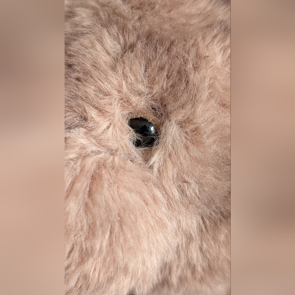 Jellycat | Wonda Wombat Plush Toy - Picture 5 of 15